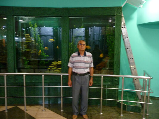  ,   , 74 ,   