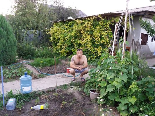  ,   , 46 ,   