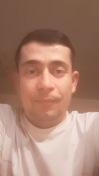  ,   Timur, 30 ,     , c 