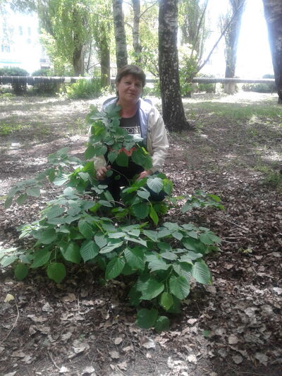  ,   , 55 ,   