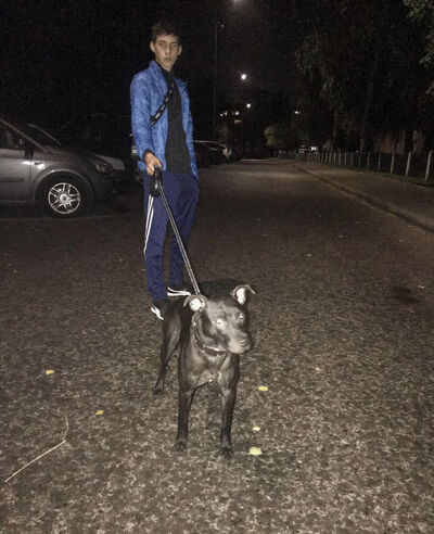  ,   Vitalik, 23 ,   
