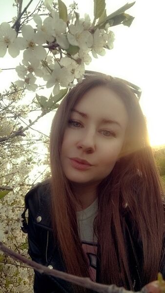  --,   , 29 ,   ,   
