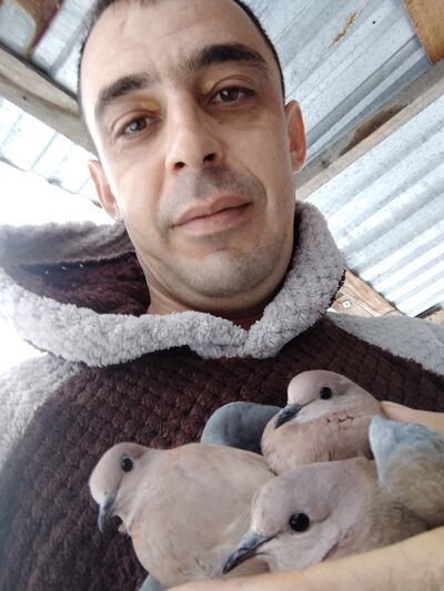  ,   , 43 ,   ,   