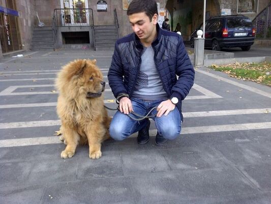 ,   ANDO, 34 ,   