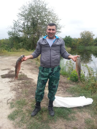   ,   , 49 ,   