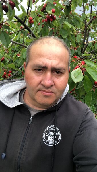  ,   , 46 ,   ,   