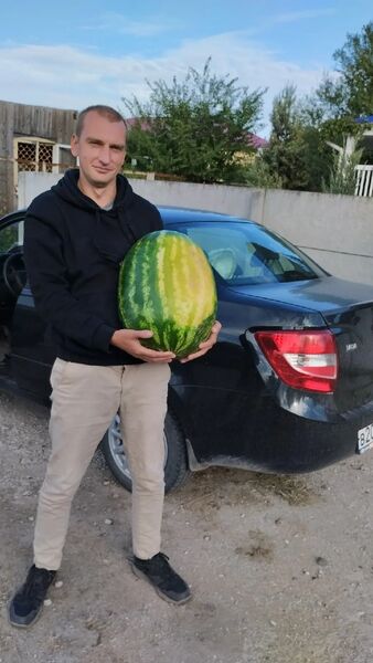  -,   , 32 ,   ,   