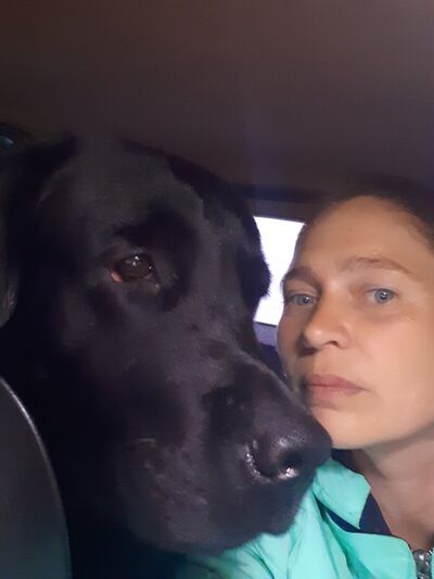  ,   , 43 ,  