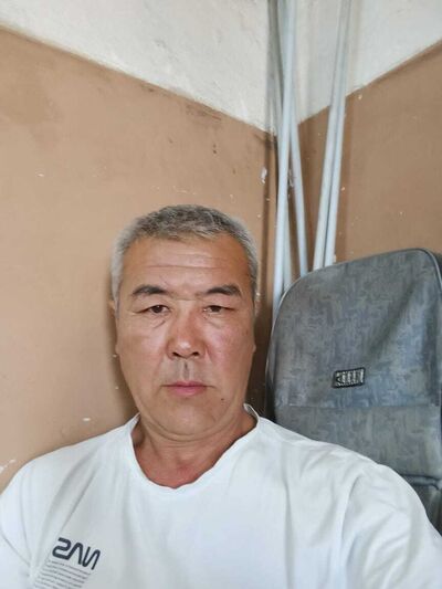  ,   Zamir, 50 ,   ,   , c 