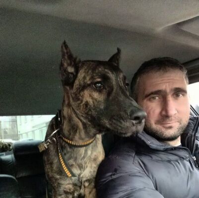  ,   Alexander, 36 ,   ,   , 