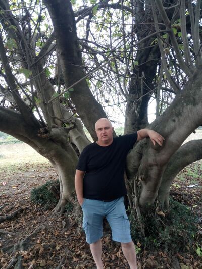  ,   , 53 ,   c 