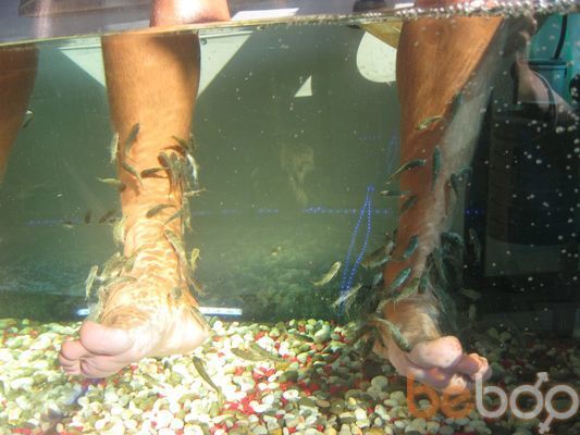 ���������� �������, ���� ������� ������, 43 ����, ������������ ��� ������, ����� � ���������, c�������� ���������