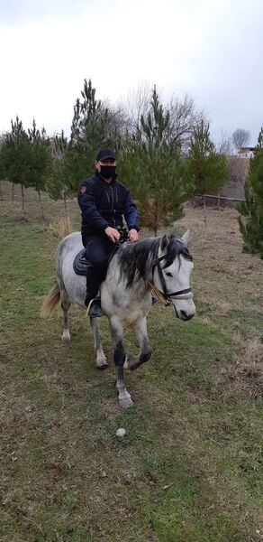  Praha,   Khan, 47 ,   ,   