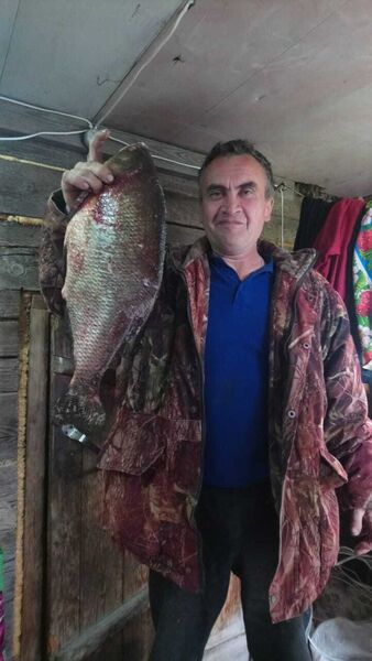  ,   Gosha, 55 ,   ,   , c 