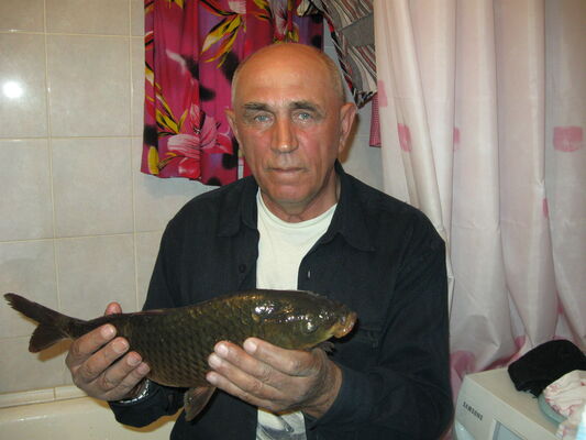  ,   , 74 ,   ,   