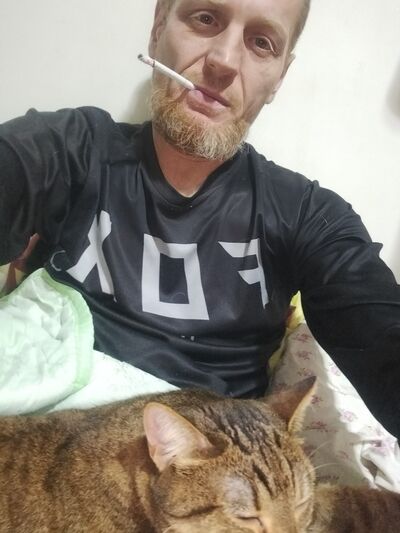 ,   , 43 ,  