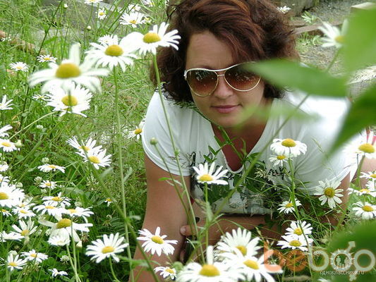 ���������� �������, ���� ������� �������, 41 ���, ������������ ��� ������, ����� � ���������, c�������� ���������