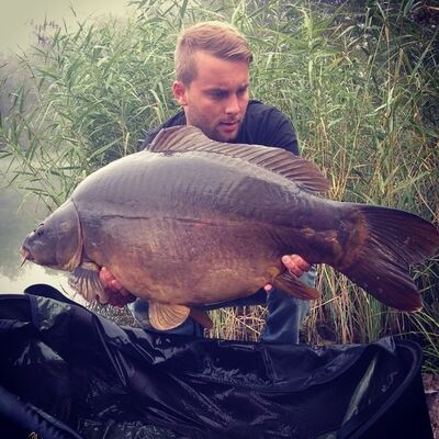  ,   Ҹ, 38 ,   ,   , c 