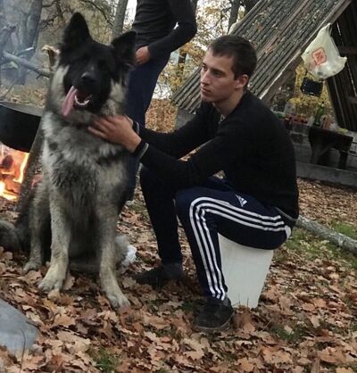  ,   , 29 ,   ,   , c 