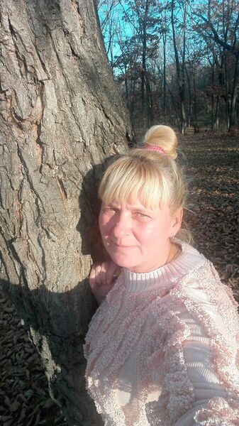  -,   , 51 ,   ,   , c 