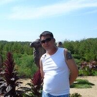  ,   , 53 ,   