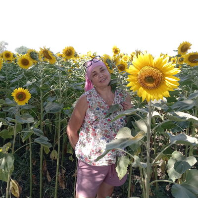  ,   , 54 ,   ,   