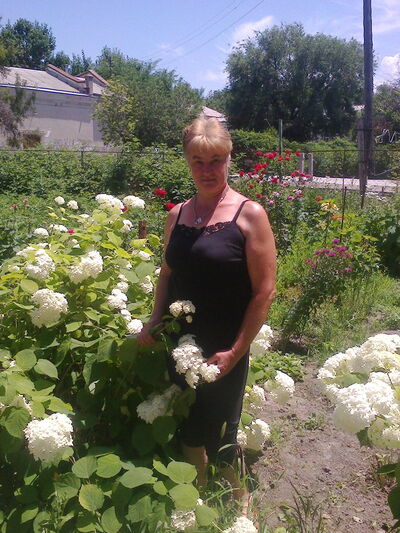  ,   , 59 ,  