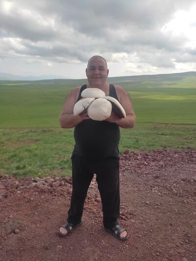  ,   Arsen, 44 ,   ,   
