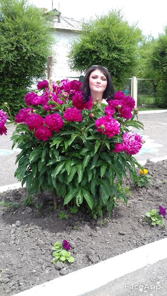  -,   , 45 ,   ,   , c , 