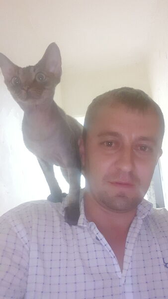  ,   , 37 ,   ,   , c 