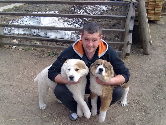  ,   Ivan, 41 ,     , c 