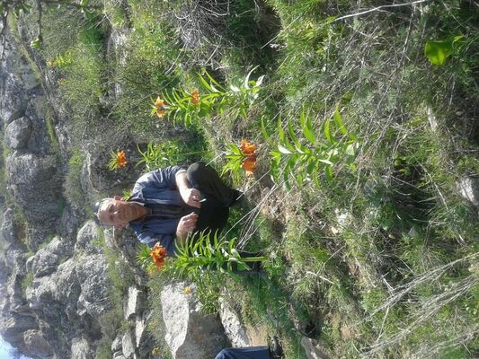  ,   , 50 ,   ,   , c , 