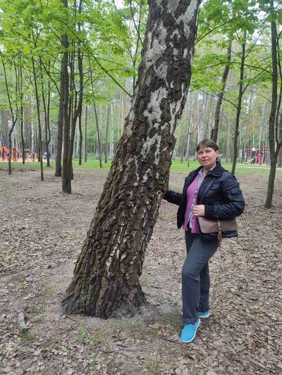  ,   Nata, 51 ,     , c , 