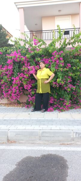  ,   , 53 ,   c 