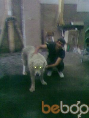 ���������� ������, ���� ������� ����, 44 ����, ������������ ��� ������