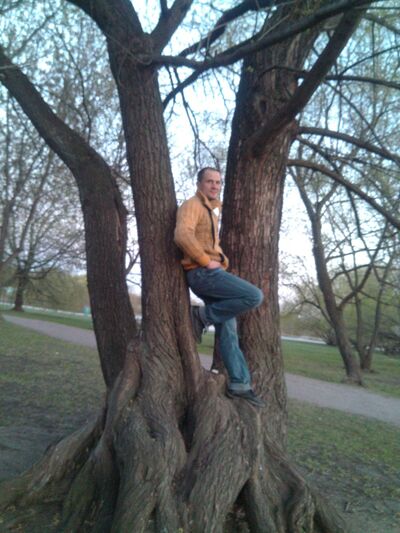  ,   Profi, 45 ,   