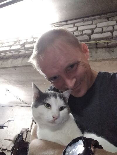  ,    , 43 ,   ,   