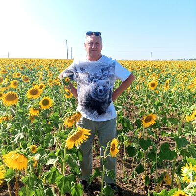  ,   , 55 ,   ,   