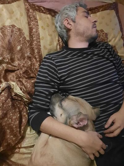  -,   Alexandr, 36 ,  