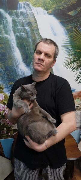  ,   , 51 ,   ,   