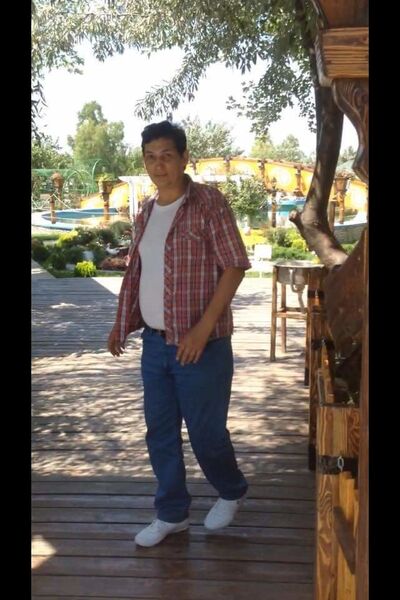  ,   Elman, 40 ,   ,   , c 