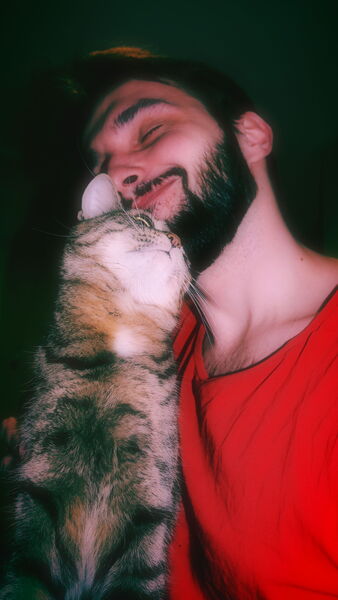 ,   ˸, 30 ,   ,   