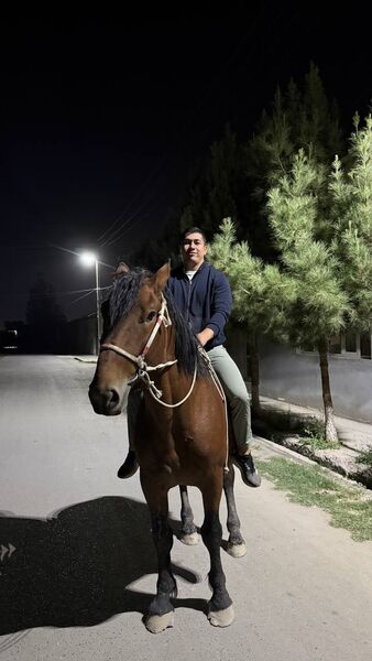  Warszawa,   Makhmud, 30 ,   ,   