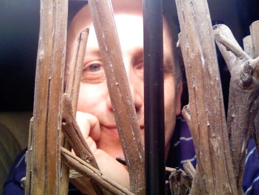  ,   French, 55 ,   ,   , c 