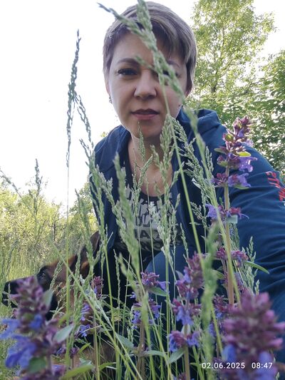 ,   , 44 ,  
