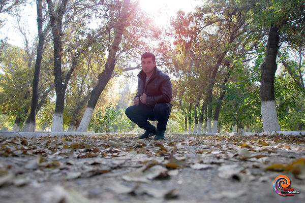  ,   BEK, 36 ,   
