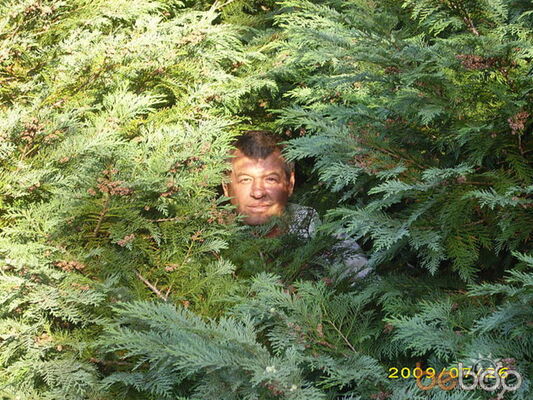  ,   Borzii, 62 ,   