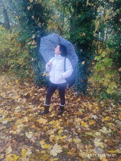  Emmerich,   , 41 ,   ,   , c 