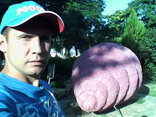   ,   , 42 ,  