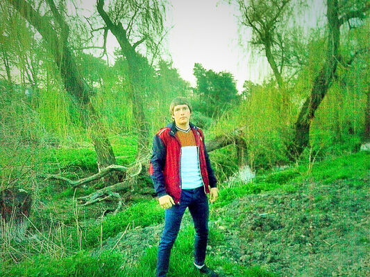  ,   , 28 ,  